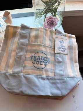 Trader Joe's Striped Mini Canvas Tote Bag in Light blue and Cream